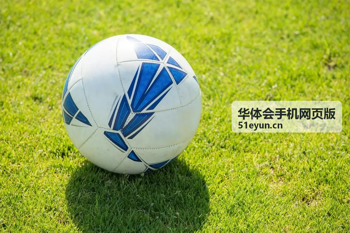 华体会手机网页版便携榨汁杯推荐图